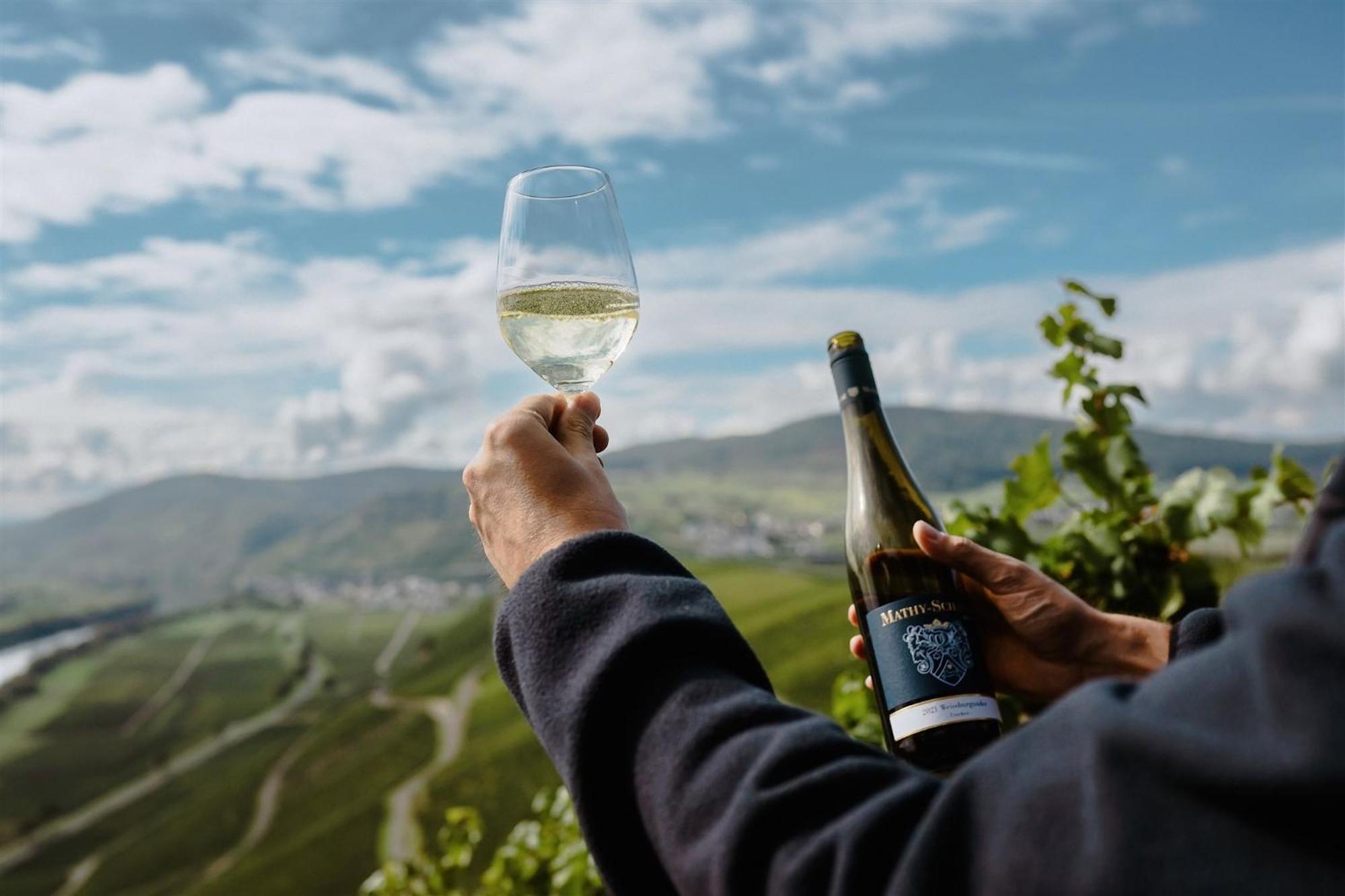 Gaestehaus Weingut Mathy-Schanz Osann-Monzel Екстериор снимка