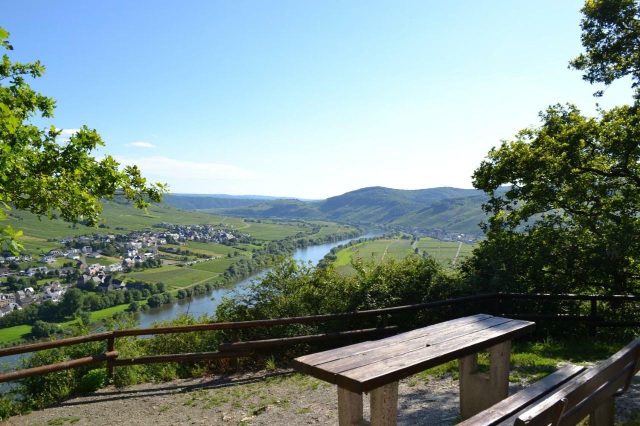 Gaestehaus Weingut Mathy-Schanz Osann-Monzel Екстериор снимка