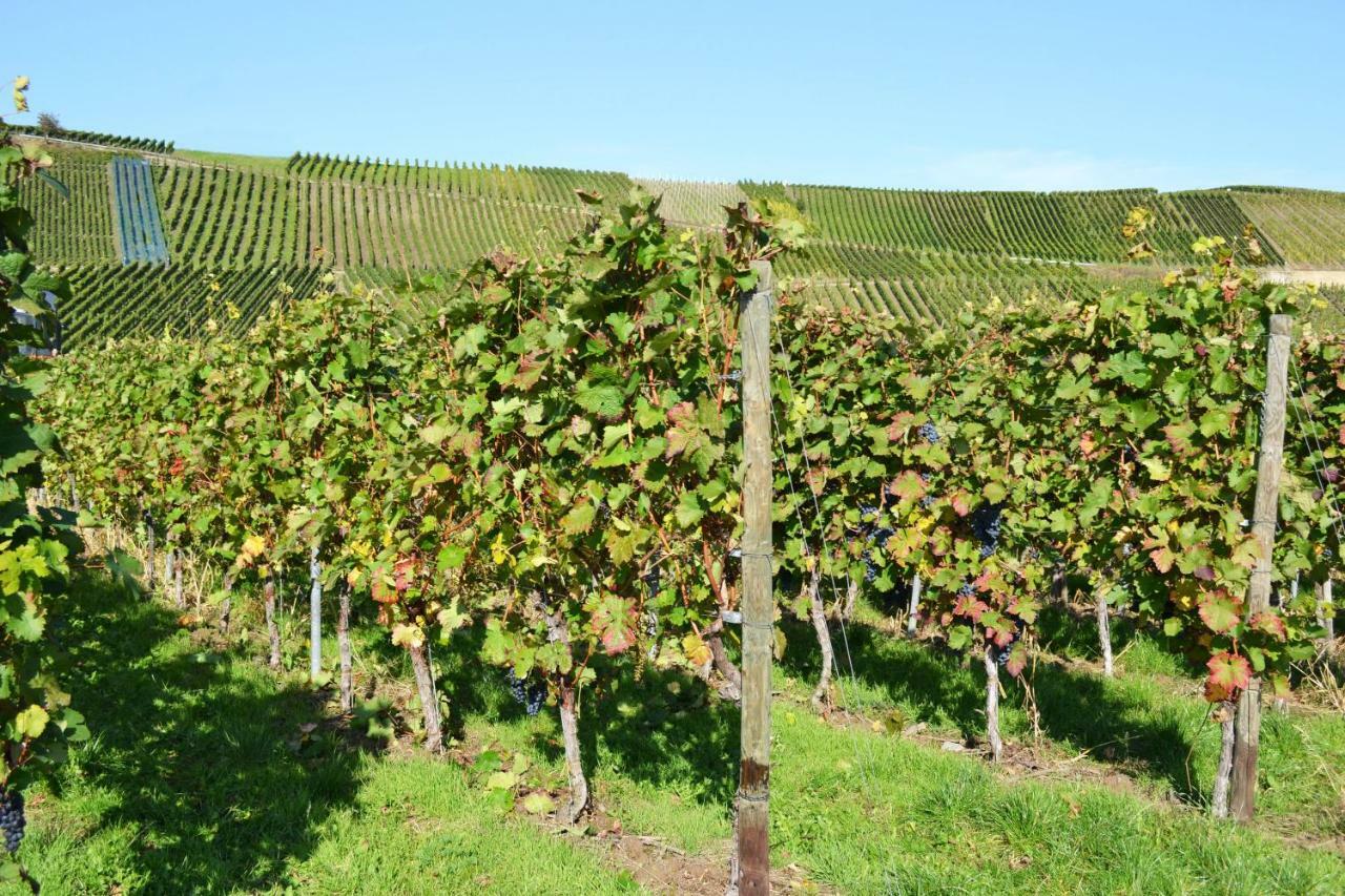 Gaestehaus Weingut Mathy-Schanz Osann-Monzel Екстериор снимка